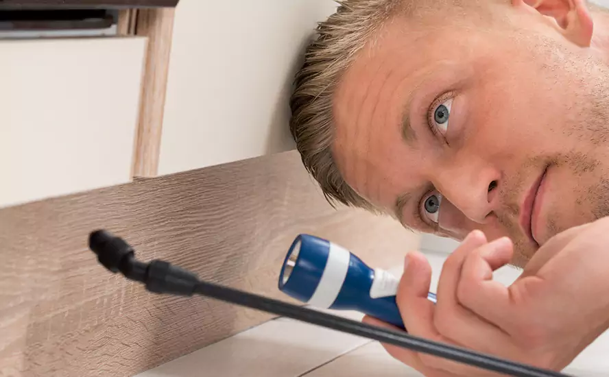 Top-Notch Pest Control in Fontana