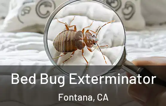  Bed Bug Exterminator Fontana, CA