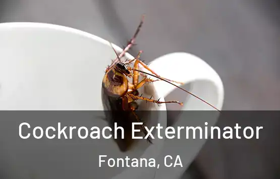  Cockroach Exterminator Fontana, CA