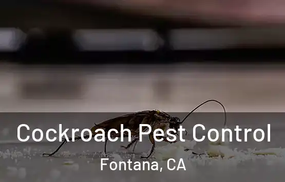  Cockroach Pest Control Fontana, CA