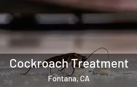  Cockroach Treatment Fontana, CA