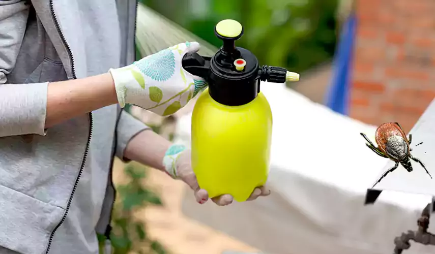 Ticks Pest Control Fontana, California