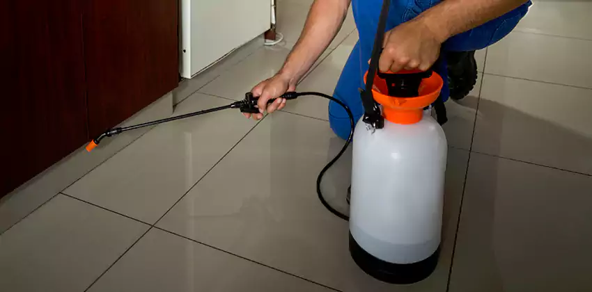 Commercial Pest Extermination for Offices in Fontana, CA