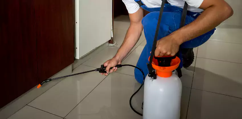 Commercial Flea Exterminator Company in Fontana, CA