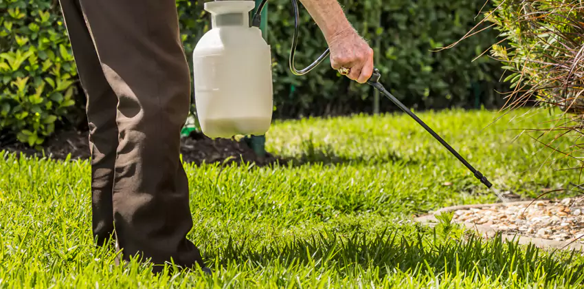 Grub Treatment for Bedrooms Fontana, CA
