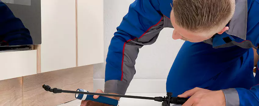 Termite Control for Children and Pets in Fontana, CA