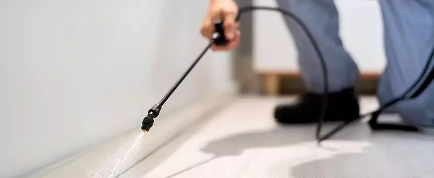 pest-exterminator in Fontana, CA