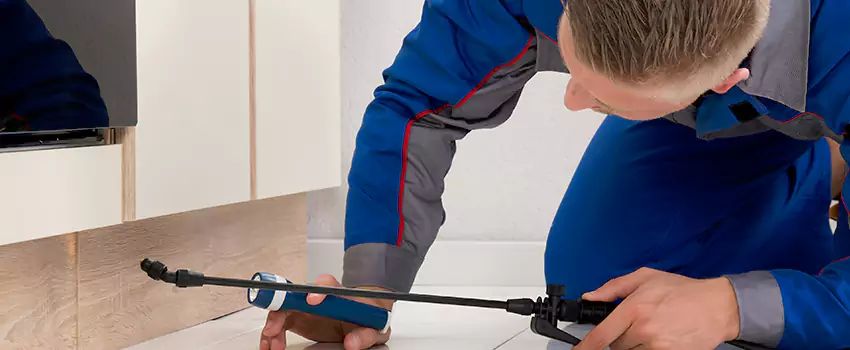 Pest Exterminator Company in Fontana, CA