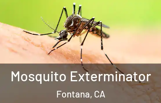  Mosquito Exterminator Fontana, CA