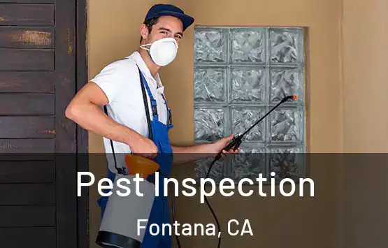  Pest Inspection Fontana, CA