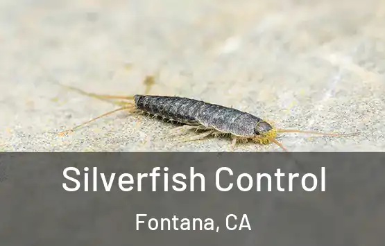  Silverfish Control Fontana, CA