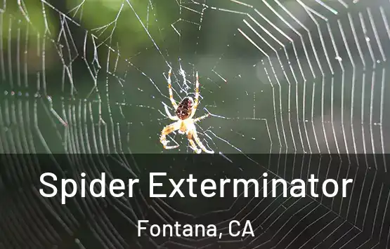  Spider Exterminator Fontana, CA