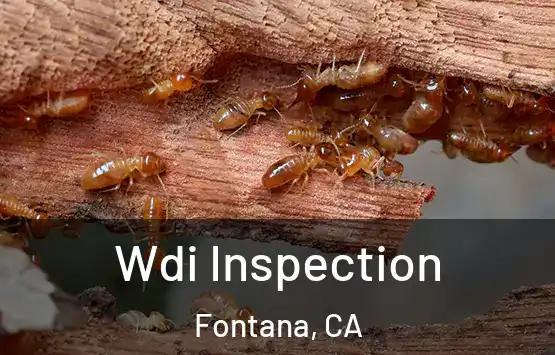  Wdi Inspection Fontana, CA